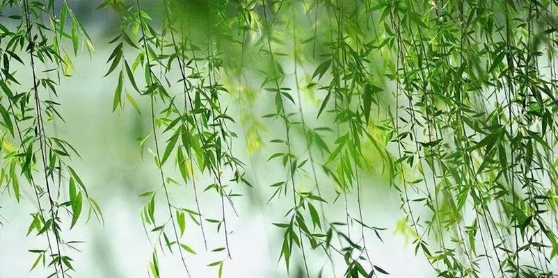 流逝时光，感慨无法挽回（岁月蹉跎，心灵留痕；时光荏苒，情感不灭）-第3张图片-恋语空间