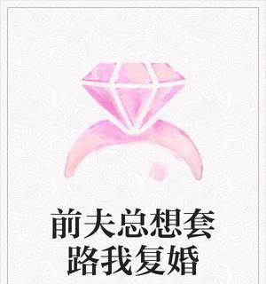 《以挽回》在线阅读无删减，温暖心灵的治愈小说（用文字抚平伤痛，重拾爱情和生活的信心）