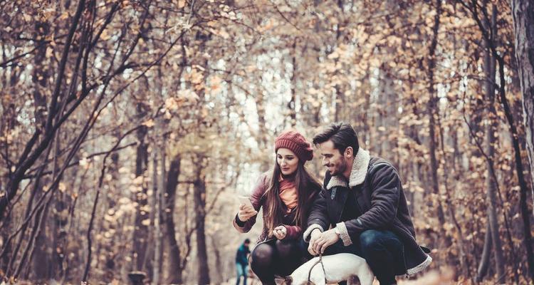 半年离婚复合的成功经验（以离婚挽回半年后复合了怎么挽回）-第1张图片-恋语空间