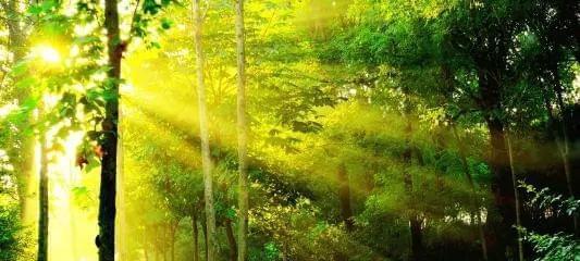 时光流逝，如何应对无法挽回的过去？（用心把握当下，珍惜拥有的一切）-第1张图片-恋语空间