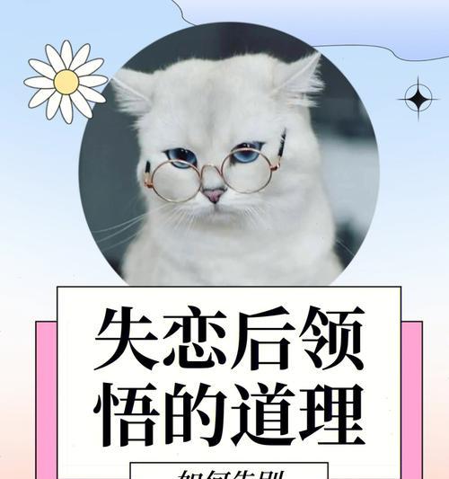 爱情陷阱（谈恋爱不是游戏，小心陷阱！）-第2张图片-恋语空间