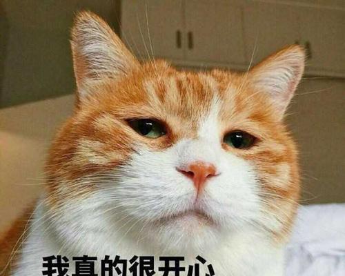 “失联”的煎熬——没有及时回女友信息的体验（拖延、焦虑、歉疚……一个信息“漏网”的男人的心路历程）-第1张图片-恋语空间