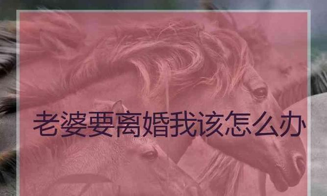 挽回失望心寒的老婆，重建美好婚姻（从沟通到行动，重新获得她的信任）-第3张图片-恋语空间