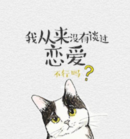 单身一生，不必遗憾（恋爱失败？未必如此，单身也可以过得精彩）