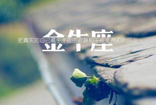 金牛座冷静挽回指南（教你如何在冷静的情况下挽回失去的爱情）-第3张图片-恋语空间