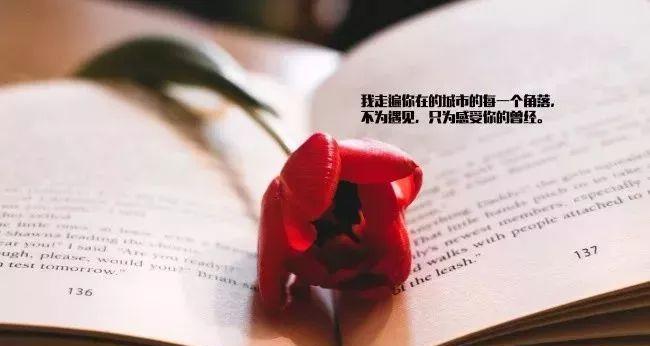 爱情末班车（小三表白已婚男人的故事）-第3张图片-恋语空间