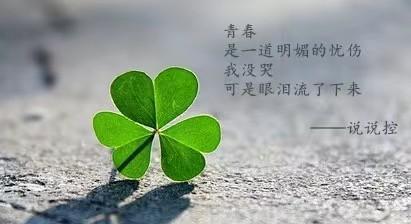 分手后想挽回，你需要知道的所有事情（如何用恰当的话语让对方回心转意，）-第1张图片-恋语空间