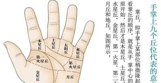 女性掌纹的秘密全图解（掌纹能透露你的性格和命运！）