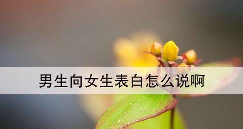 男生向女生表白的绝佳说辞（以男生对女生表白的话，男生向女生表白怎么说？）