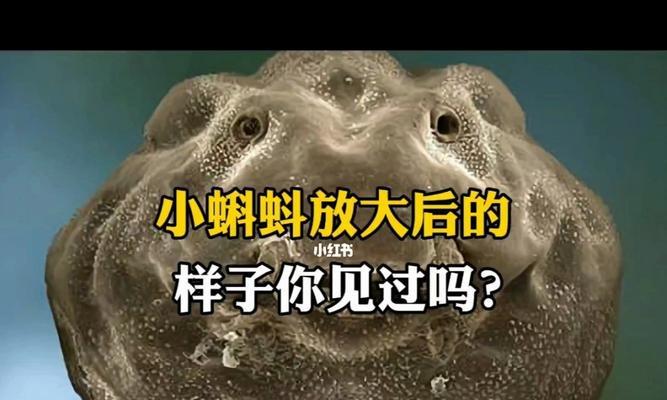 不眠高手——如何成为有效的睡眠管理者（打造健康的生活方式，让你精力充沛）-第3张图片-恋语空间