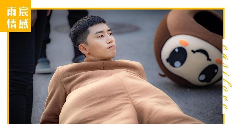 如何成功挽回前男友？（掌握这些技巧，成功挽回前男友不再是梦想）-第2张图片-恋语空间
