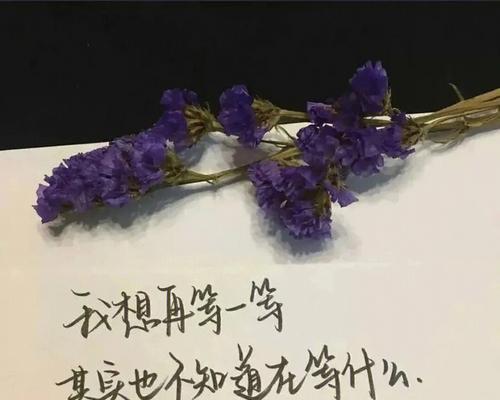告别过去，放下心结——彻底死心放弃一个人的高质量文案（最新最实用的放弃技巧，让你不再困扰于过去）-第3张图片-恋语空间