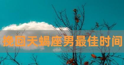 教你搞定天蝎男，让他主动挽回你！（从心理到行为，揭秘天蝎男挽回心理）-第2张图片-恋语空间
