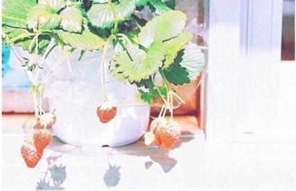 如何在爱情失去前保护它（15个有效的方法让你的爱情经久不衰）-第2张图片-恋语空间