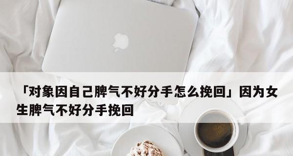 分手后如何挽回爱情（分手对象不找我怎么办？挽回技巧大揭秘！）-第3张图片-恋语空间