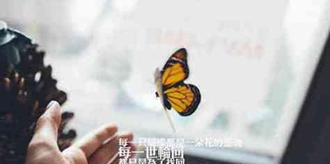 独行者的疼痛（寂寞让心灵受伤）-第3张图片-恋语空间