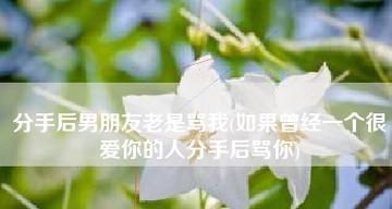 如何应对感情疏远，挽回爱情？（以我对男友越来越冷淡所以分手为例，分享教训与经验）