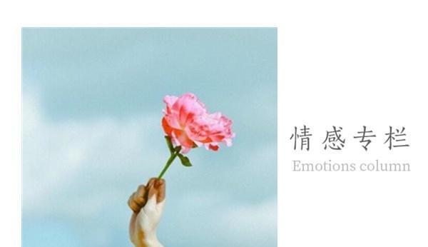 挽回爱人的关键技巧（从自身改变到行动计划的完整指南）-第2张图片-恋语空间