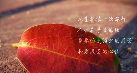 那年，感触深刻的事情和话语（生命中的珍贵经历与人生启示）-第1张图片-恋语空间